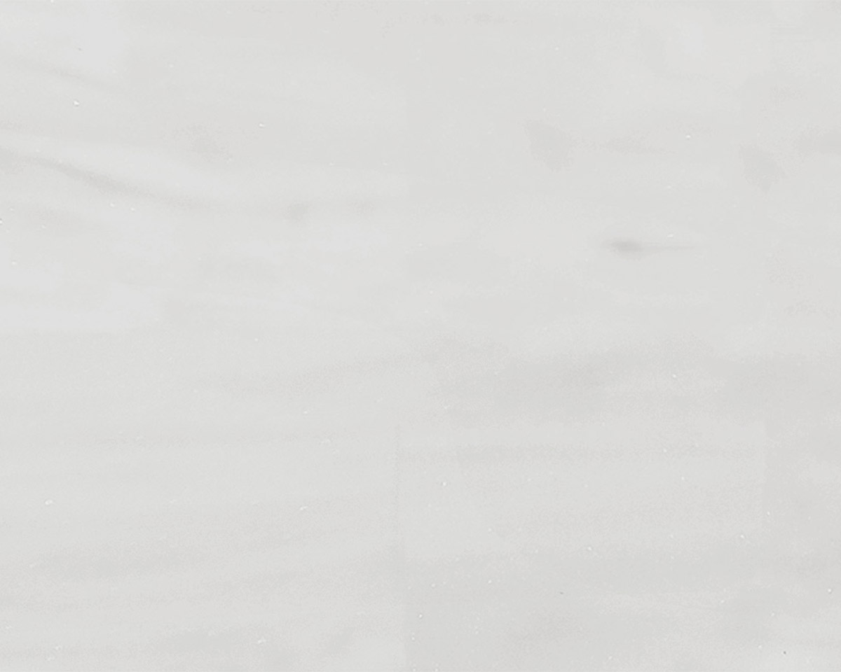 Whisper White